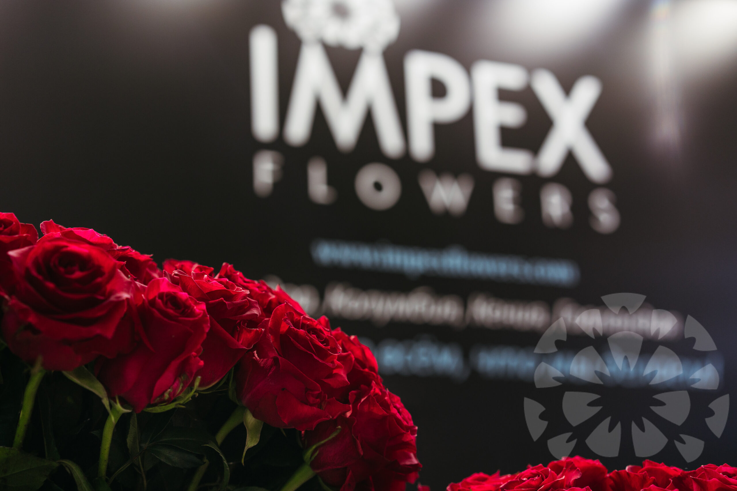 Inspiration and business growth at Moscow Flowers Expo 2019