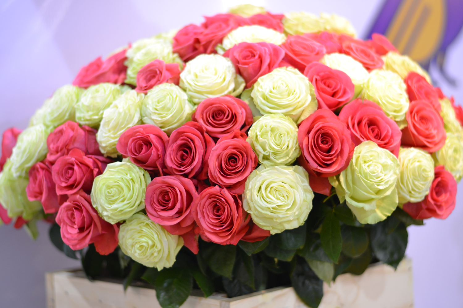 Impex Flowers products Ecuador Roses