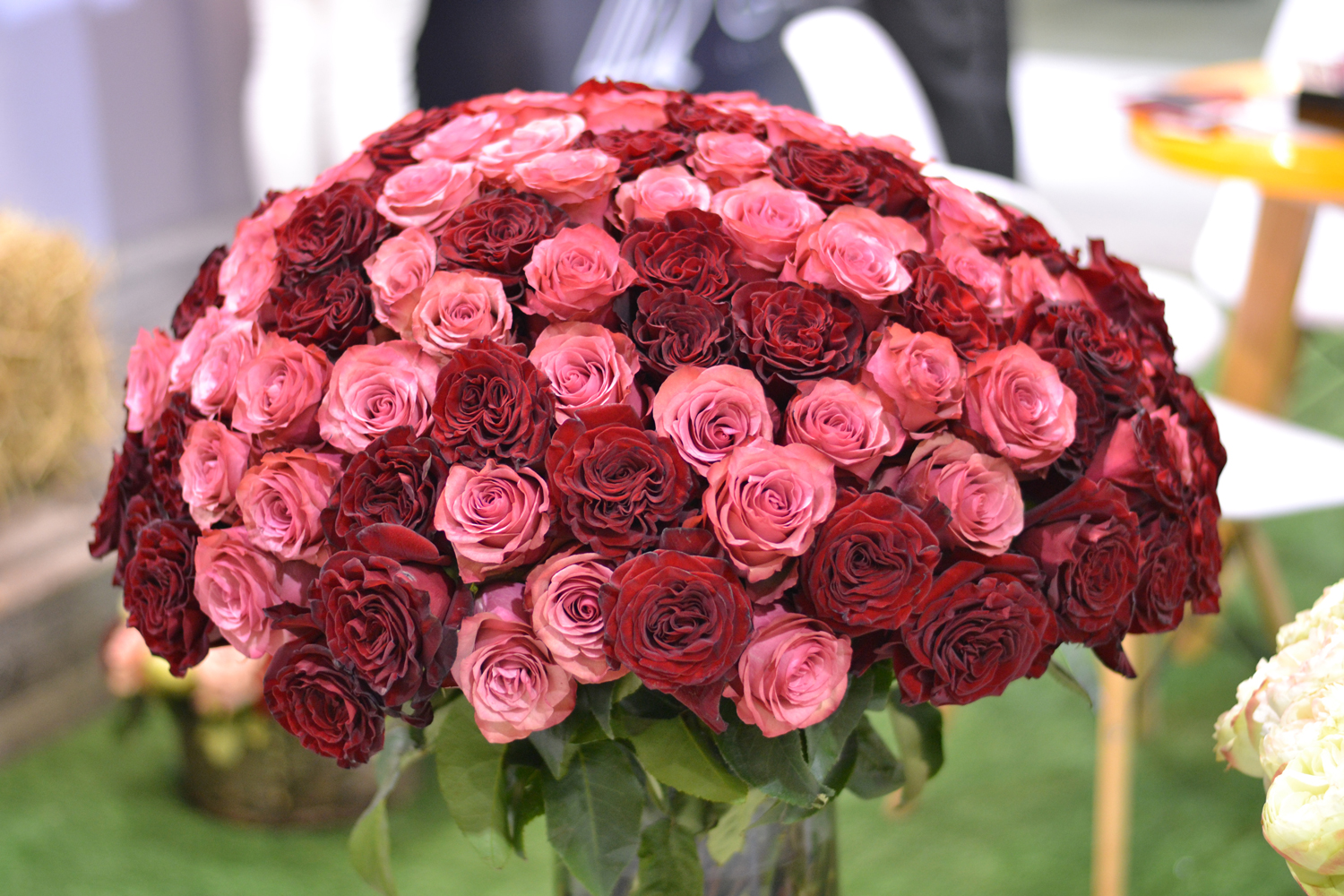 Impex Flowers products Ecuador Roses